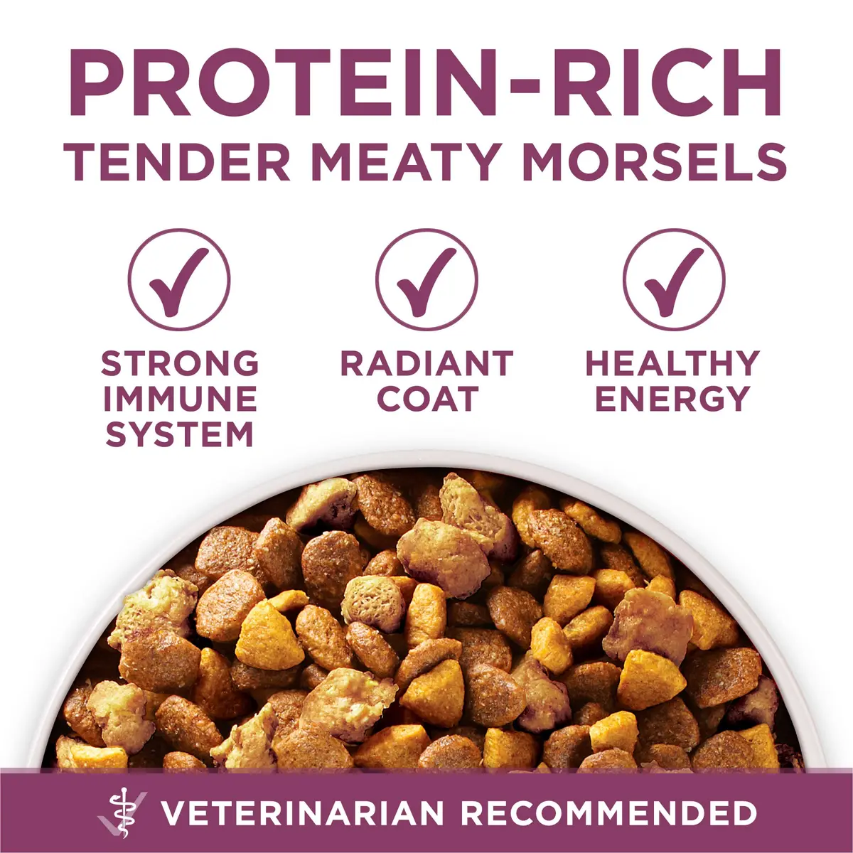 Purina ONE Plus Healthy Puppy Dry Food, Chicken, 31.1 lb Bag | High-Protein with DHA & Natural Ingredients - view 7