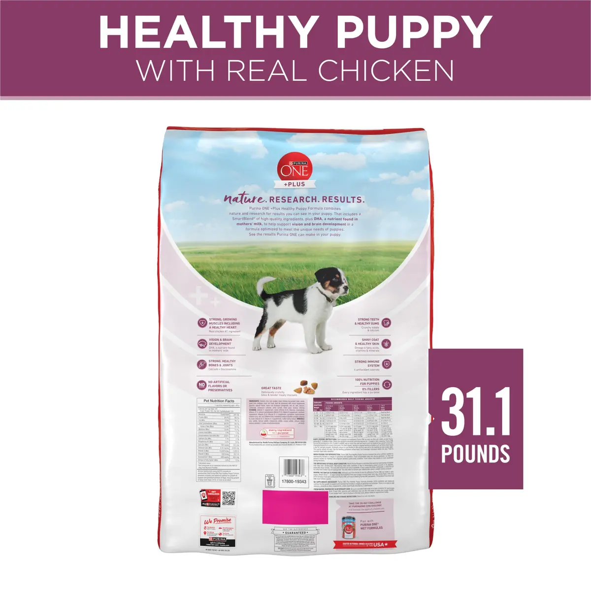 Purina ONE Plus Healthy Puppy Dry Food, Chicken, 31.1 lb Bag | High-Protein with DHA & Natural Ingredients - view 9