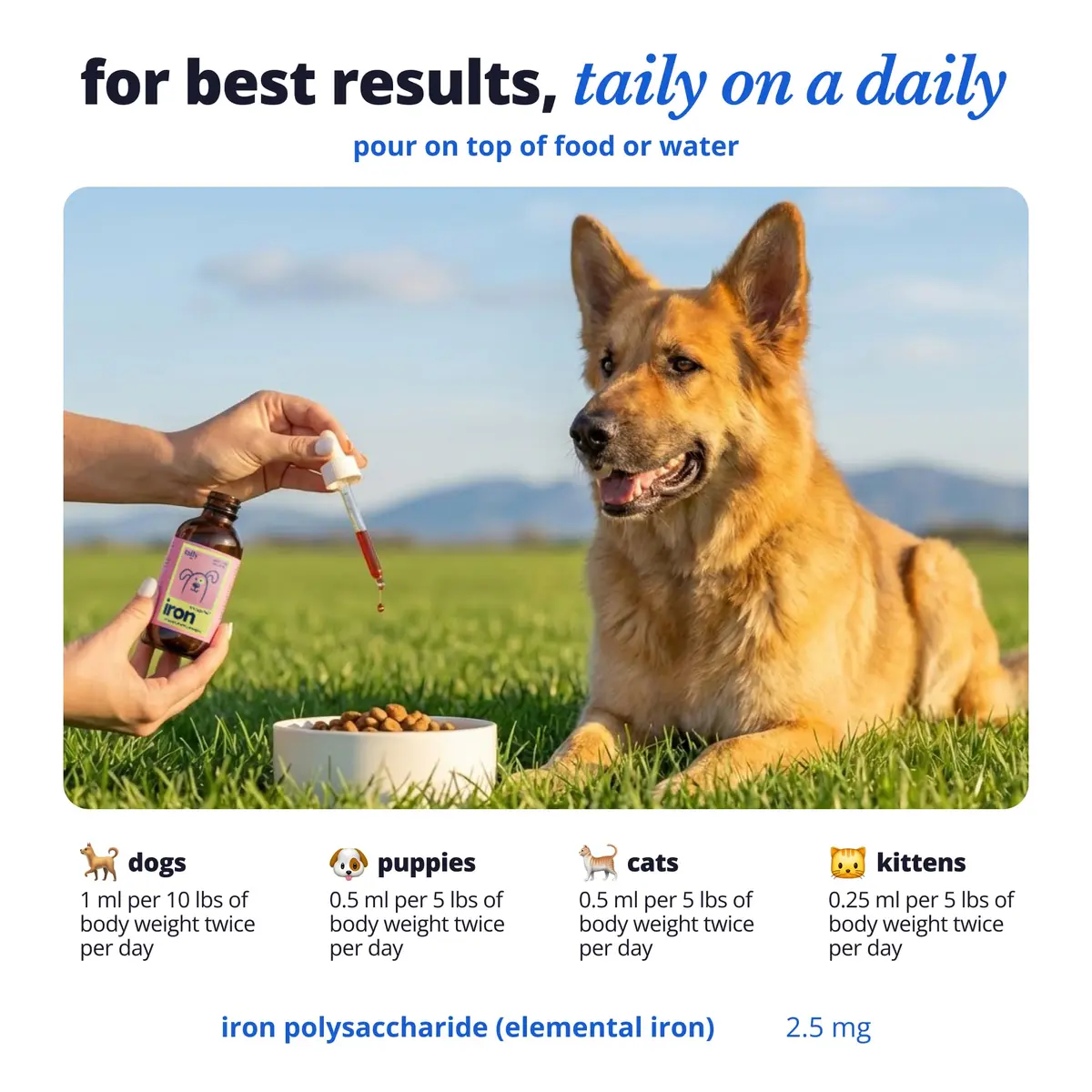 Taily AminoPets Liquid Iron Supplements for Dogs, Cats | Supports Anemia, Low Energy & Lethargy | Made in USA - view 5