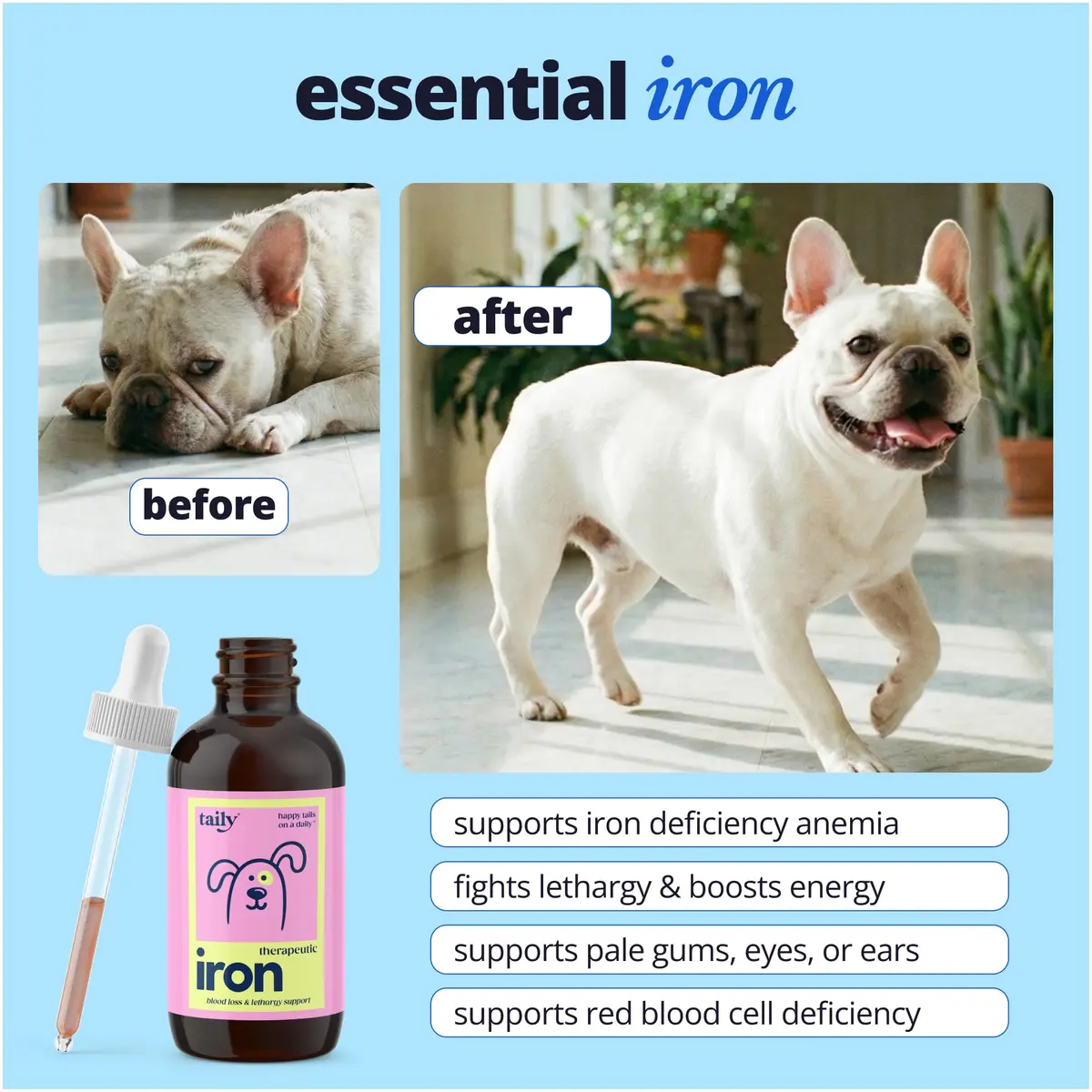 Taily AminoPets Liquid Iron Supplements for Dogs, Cats | Supports Anemia, Low Energy & Lethargy | Made in USA - view 2