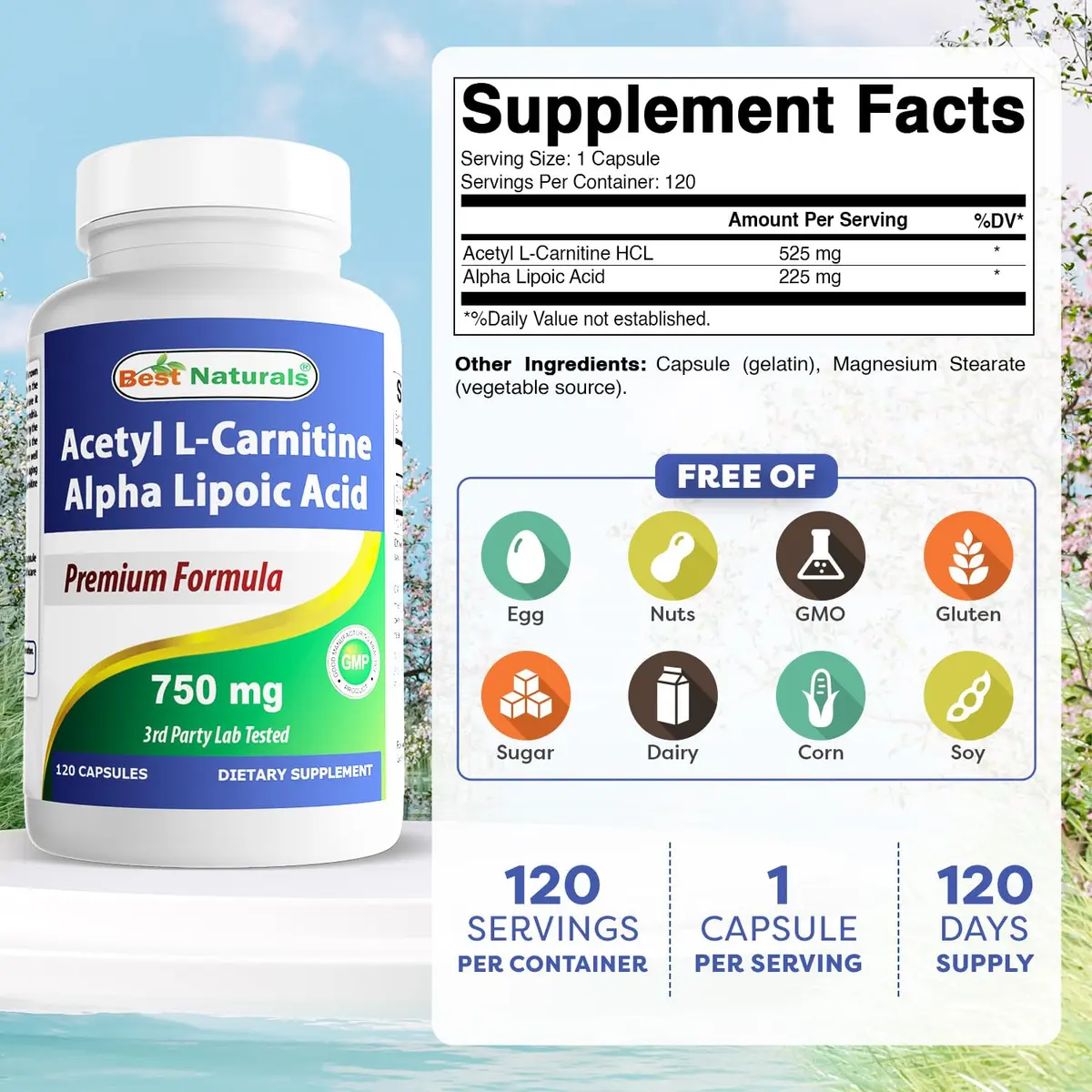 Best Naturals Acetyl L-Carnitine & Alpha Lipoic Acid 750 mg | 360 Capsules for Energy & Metabolism - view 2