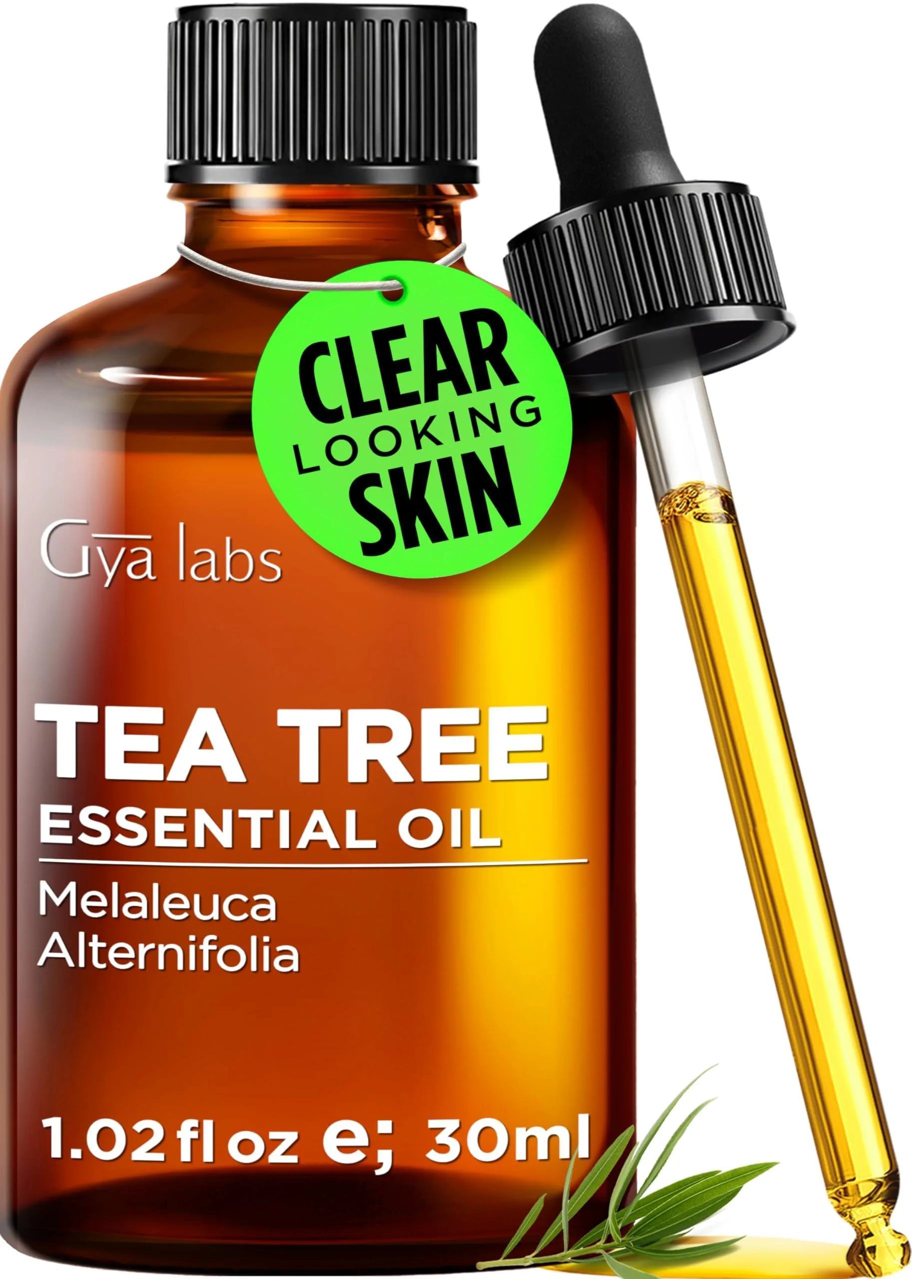 Gya Labs 100% Pure Tea Tree Essential Oil | Hair, Skin, Scalp & Candle Making Scent (1.02 Fl Oz / 30 ml) - main product image
