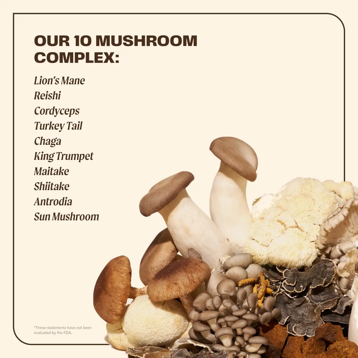 OM MUSHROOM SUPERFOOD Master Blend Mushroom Capsules 168 Count | Supports Immunity & Stress Relief - view 3