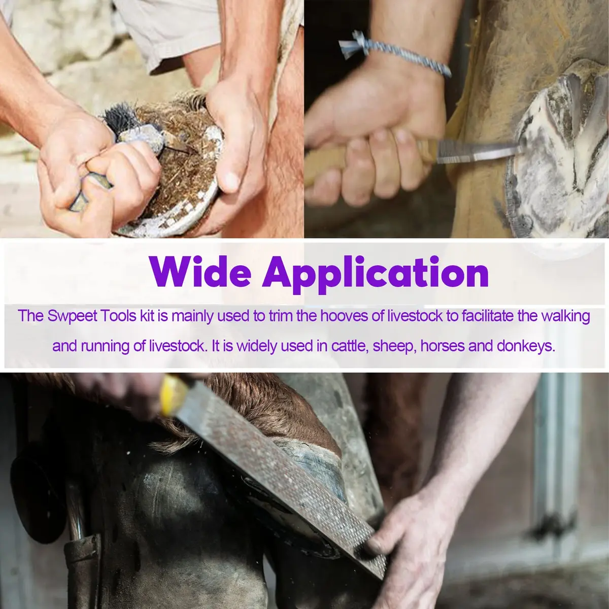 Swpeet 8Pcs Farrier Tools Kit with Roll Pack | Horses Hoof Trimmers, Nipper, Rasp & Knife, Rubber Handle (7 pcs + Gloves) | Pet Supplies - view 7