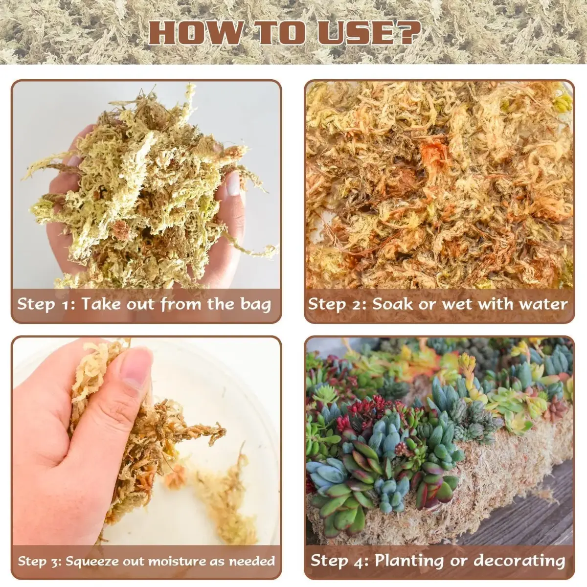 ZeeDix Natural Sphagnum Moss 3 oz (170g) | Long Fiber Moss for Indoor Plants, Orchids, Carnivorous Plants, Succulents, Reptiles - view 5