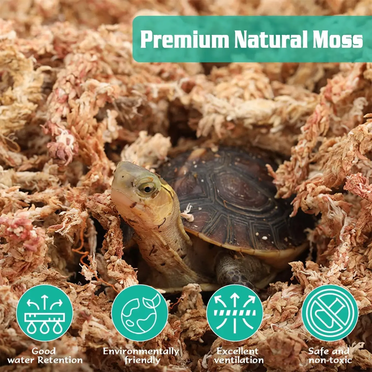 ZeeDix Natural Sphagnum Moss 0.49 kg (1.1 lb) | Expands to 25 qt for Indoor Plants - view 3