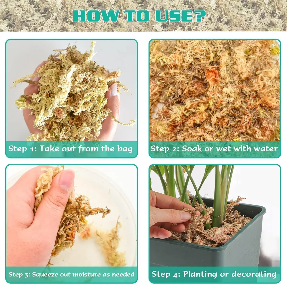 ZeeDix Natural Sphagnum Moss 0.49 kg (1.1 lb) | Expands to 25 qt for Indoor Plants - view 4