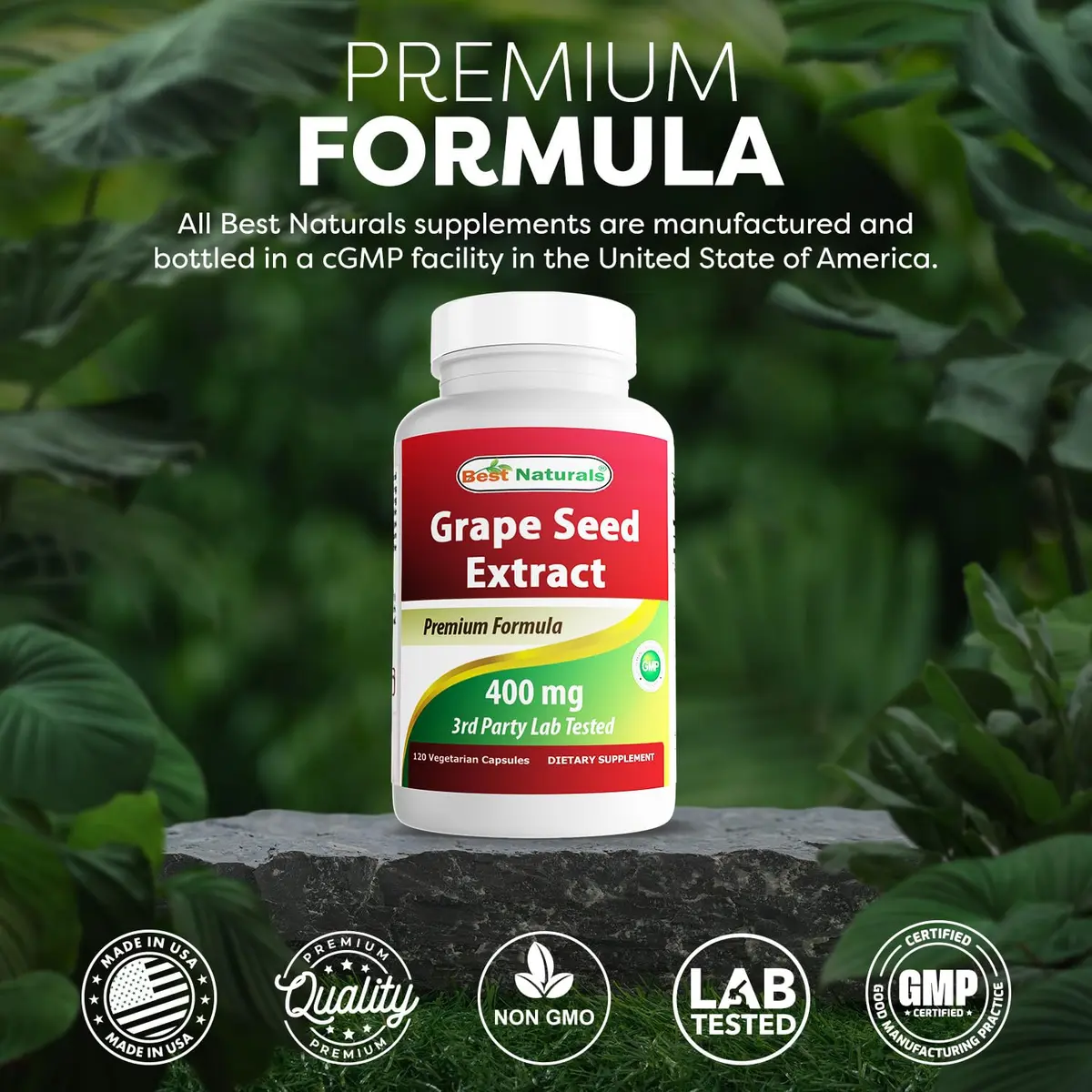 Best Naturals Grapeseed Extract 400 mg | Non-GMO & Gluten-Free Capsules (120 Count (Pack of 3)) - view 5