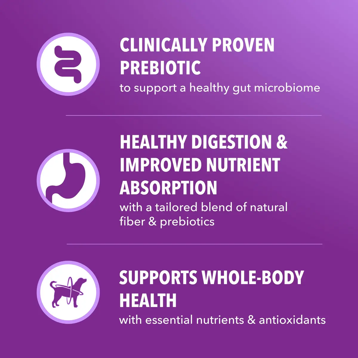 IAMS Advanced Health Healthy Digestion Dry Dog Food, Chicken, 13.5 lb | Supports Digestive Wellness - view 5
