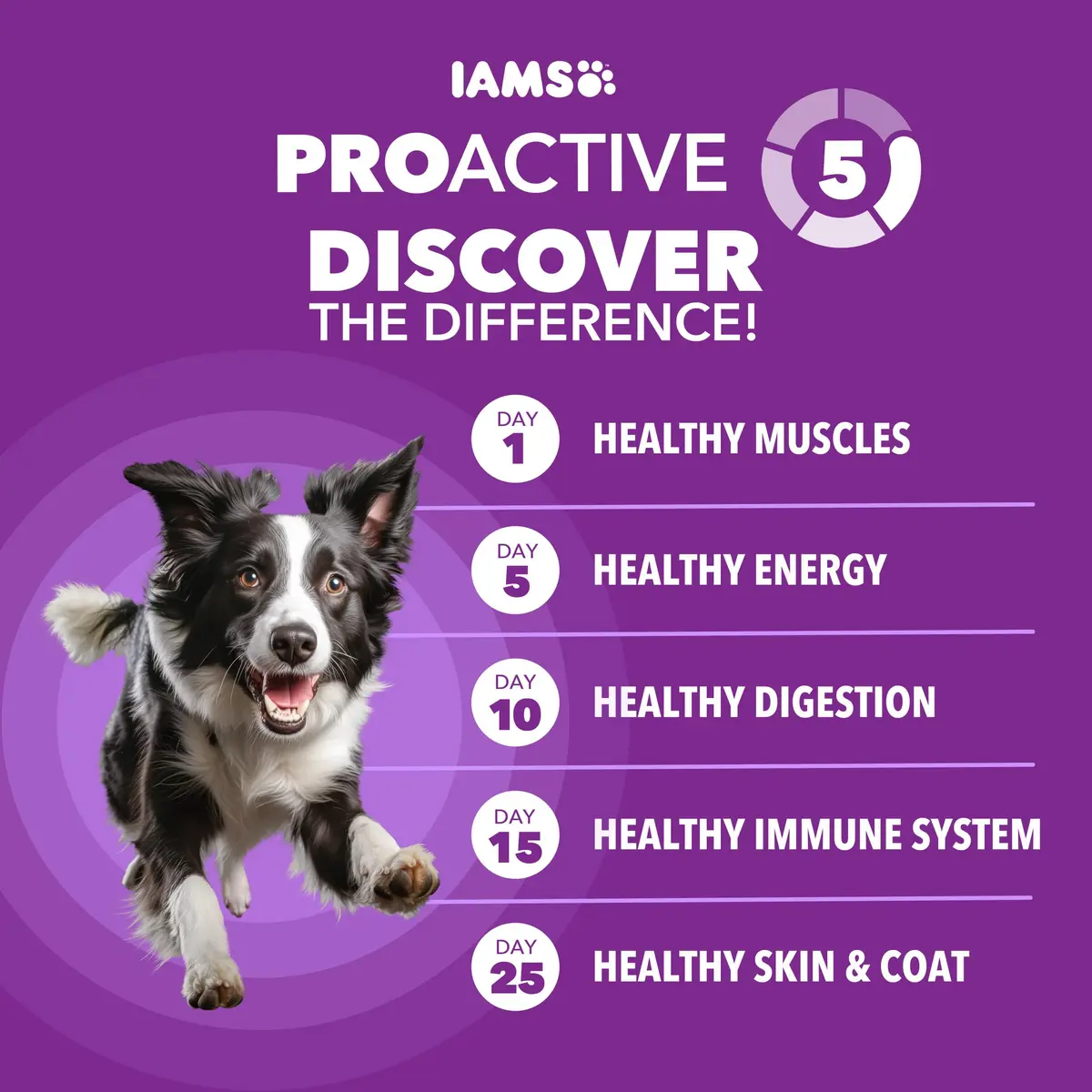 IAMS Advanced Health Healthy Digestion Dry Dog Food, Chicken, 13.5 lb | Supports Digestive Wellness - view 2