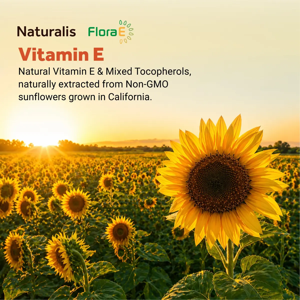 Naturalis Sunflower Vitamin E 670mg (1000 IU) with Mixed Tocopherols | Essential Skin & Immune Support | Non-GMO, Gluten & Soy Free | 60 Softgels - view 5