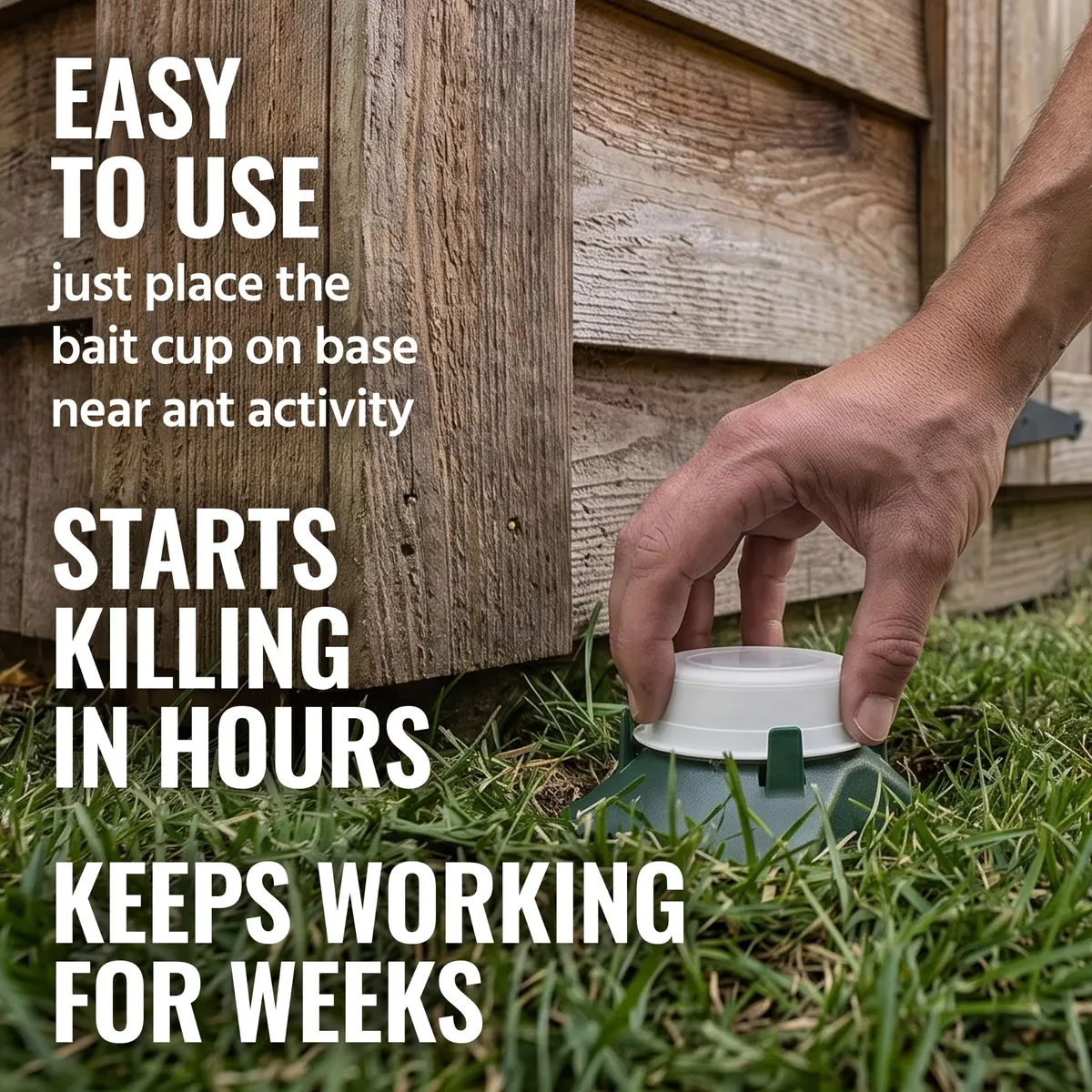 Terro Pesticide Liquid Ant Bait Killer & Trap - 8 Bait Stations | Kills Household Ants - view 3