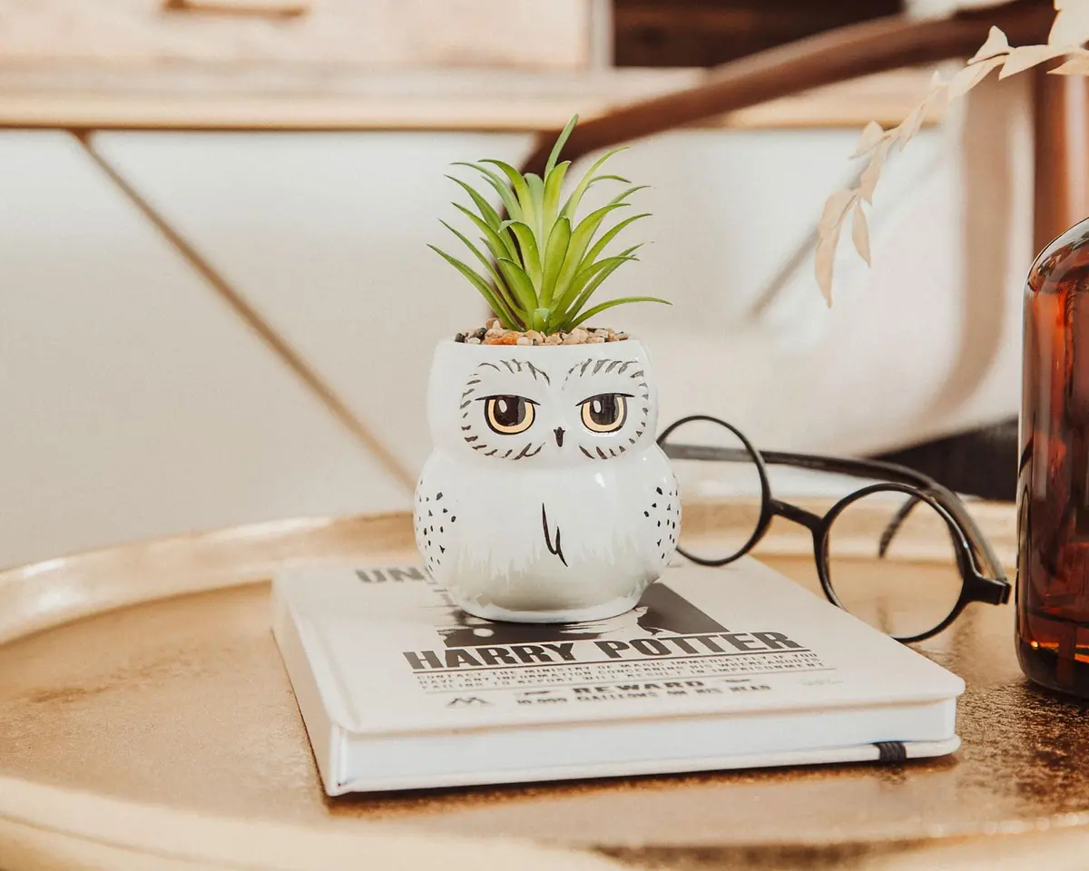 Silver Buffalo Harry Potter Hedwig 3-Inch Ceramic Mini Planter with Artificial Succulent | Wizarding World Decor - view 5