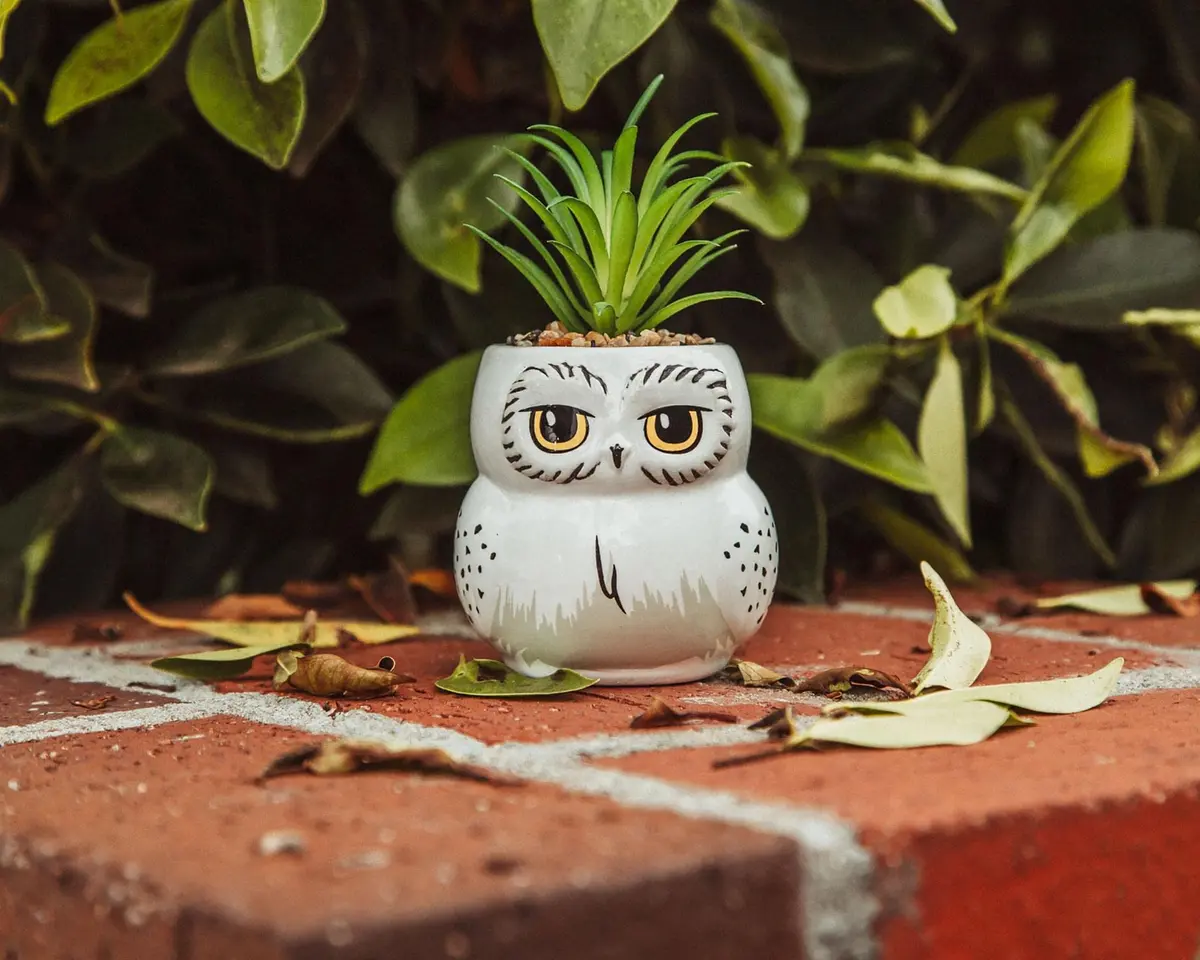 Silver Buffalo Harry Potter Hedwig 3-Inch Ceramic Mini Planter with Artificial Succulent | Wizarding World Decor - view 6
