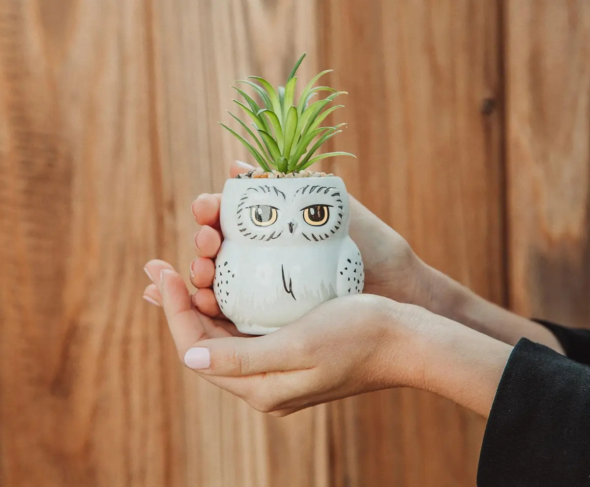 Silver Buffalo Harry Potter Hedwig 3-Inch Ceramic Mini Planter with Artificial Succulent | Wizarding World Decor - view 3