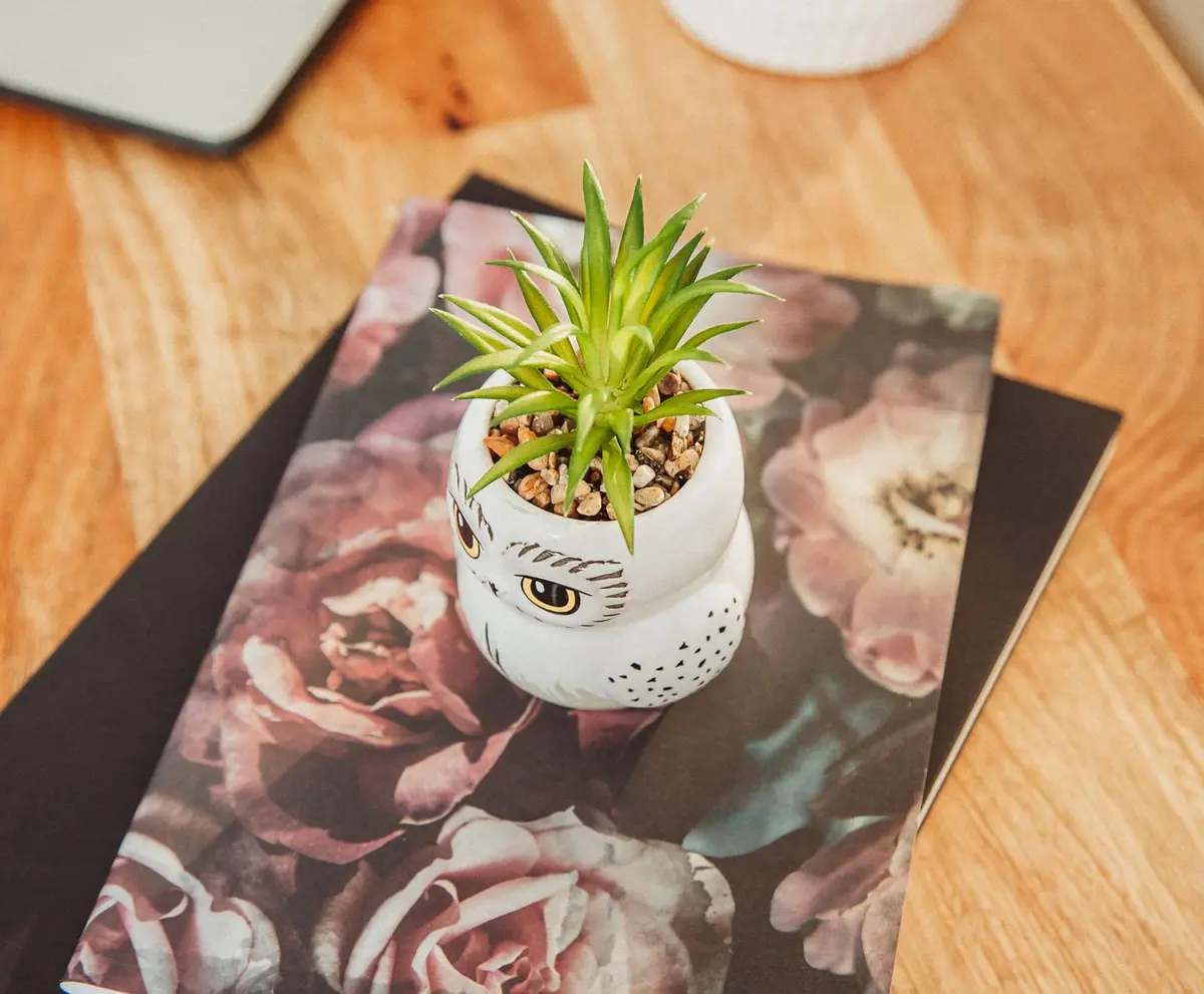 Silver Buffalo Harry Potter Hedwig 3-Inch Ceramic Mini Planter with Artificial Succulent | Wizarding World Decor - view 4