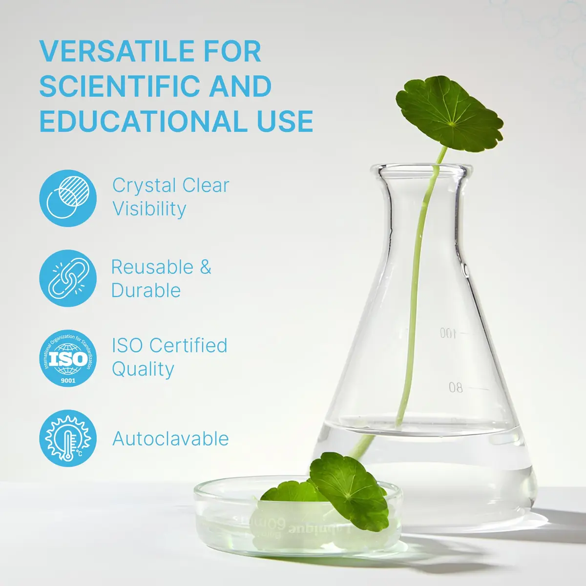Microyn Borosilicate Glass Petri Dish with Lid, 120 mm | Reusable, Autoclavable Labware for Research & Education - view 4