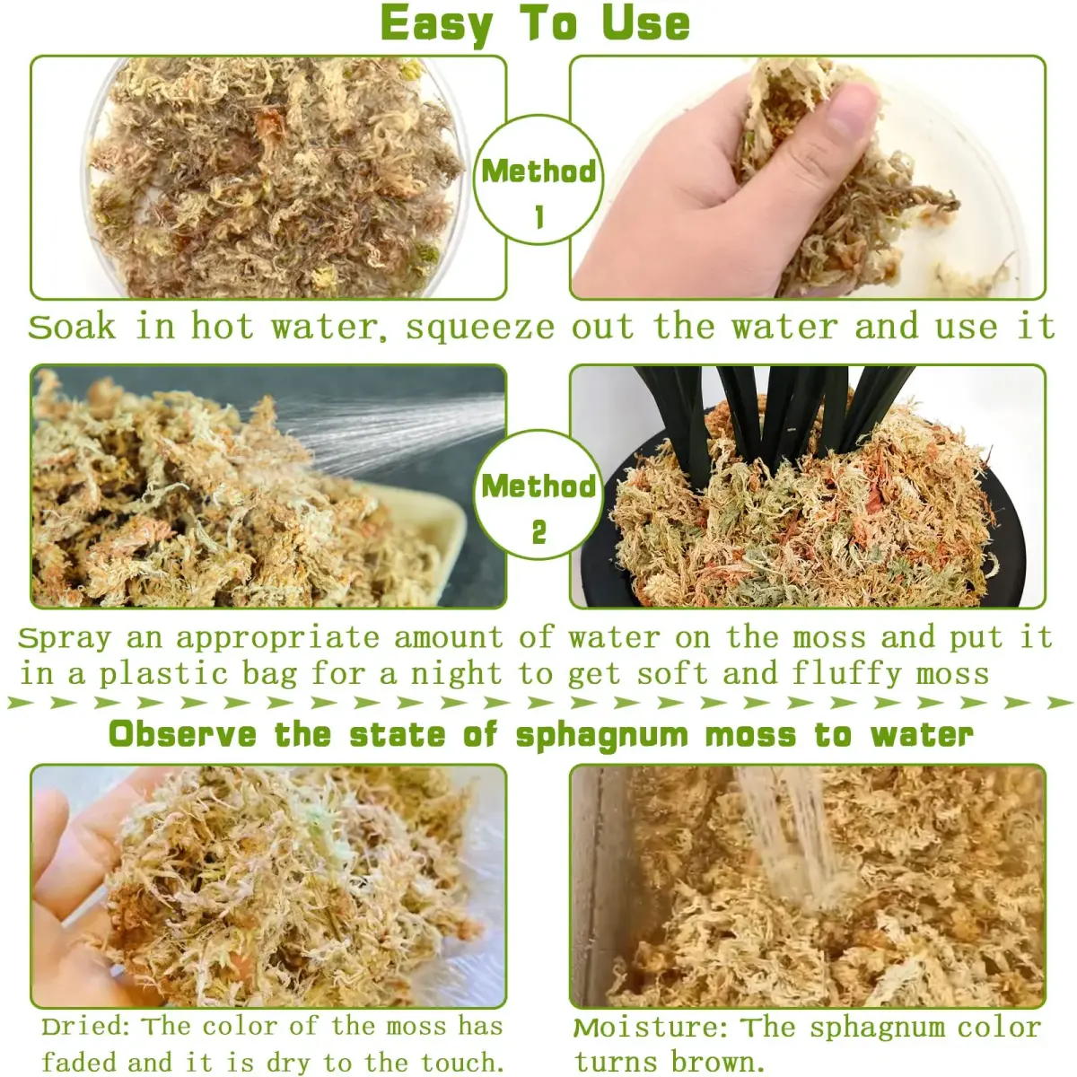 Legigo Premium Sphagnum Moss for Plants — 20 Quarts (Appx. 1.2 lb / 0.5 kg) | Natural Long Fiber Orchid & Succulent Soil - view 4