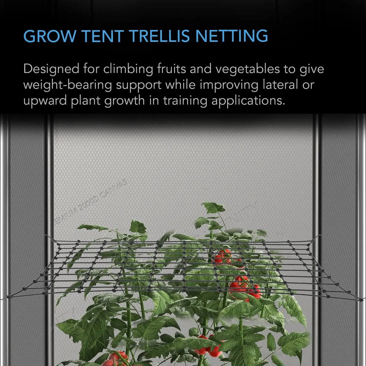 AC Infinity Elastic Trellis Netting for 2x4 Grow Tents | Heavy-Duty Support for Indoor & Outdoor Plants - view 2