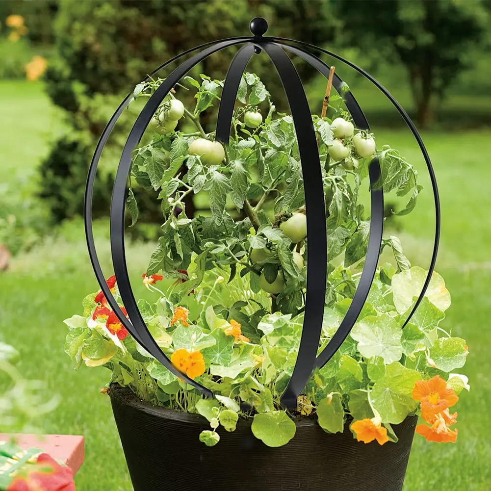 DECOR WOW Small Metal Trellis 19.5" x 16" | Weatherproof Garden Support Structure - view 5