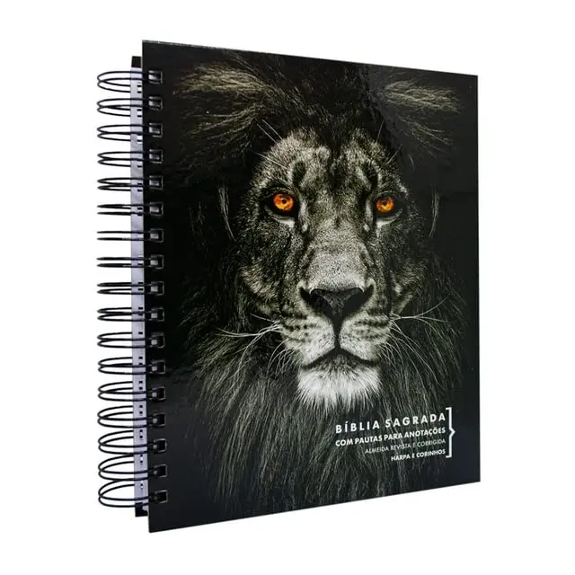 Ebenezer Holy Bible with Note Space, Live Harp and Chorns Lion Pb, Black, 24cm (9.4in) x 19cm (7.5in) x 2.5cm (1in) - main product image