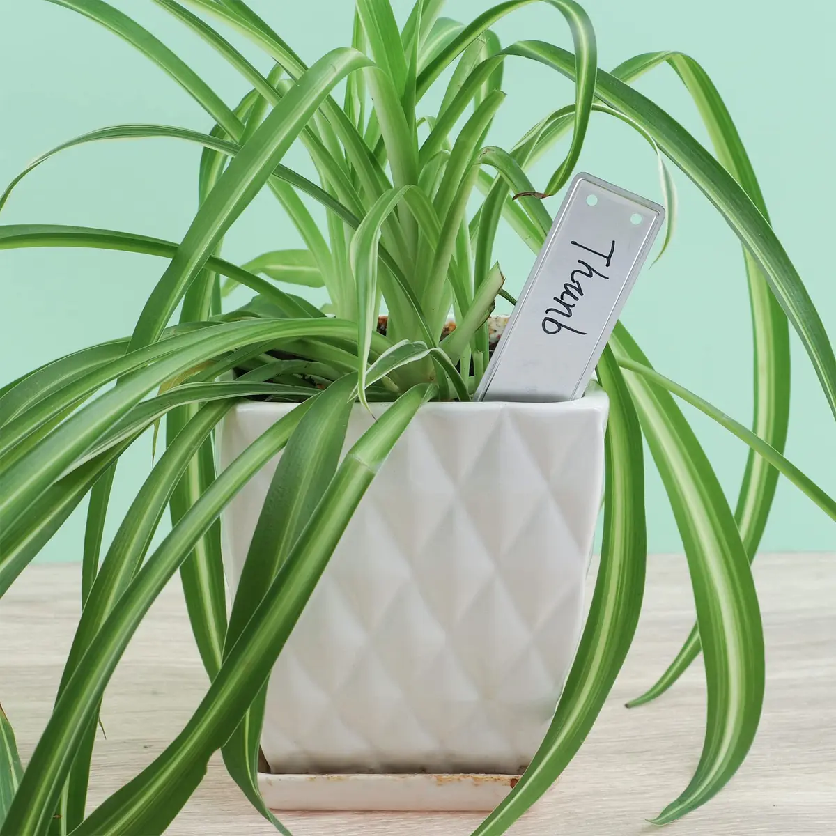Ioffersuper Aluminum Plant Tags with Metal Wires - 200 Pack, 1 x 3.25 Inch | Waterproof Outdoor Garden Markers - view 5