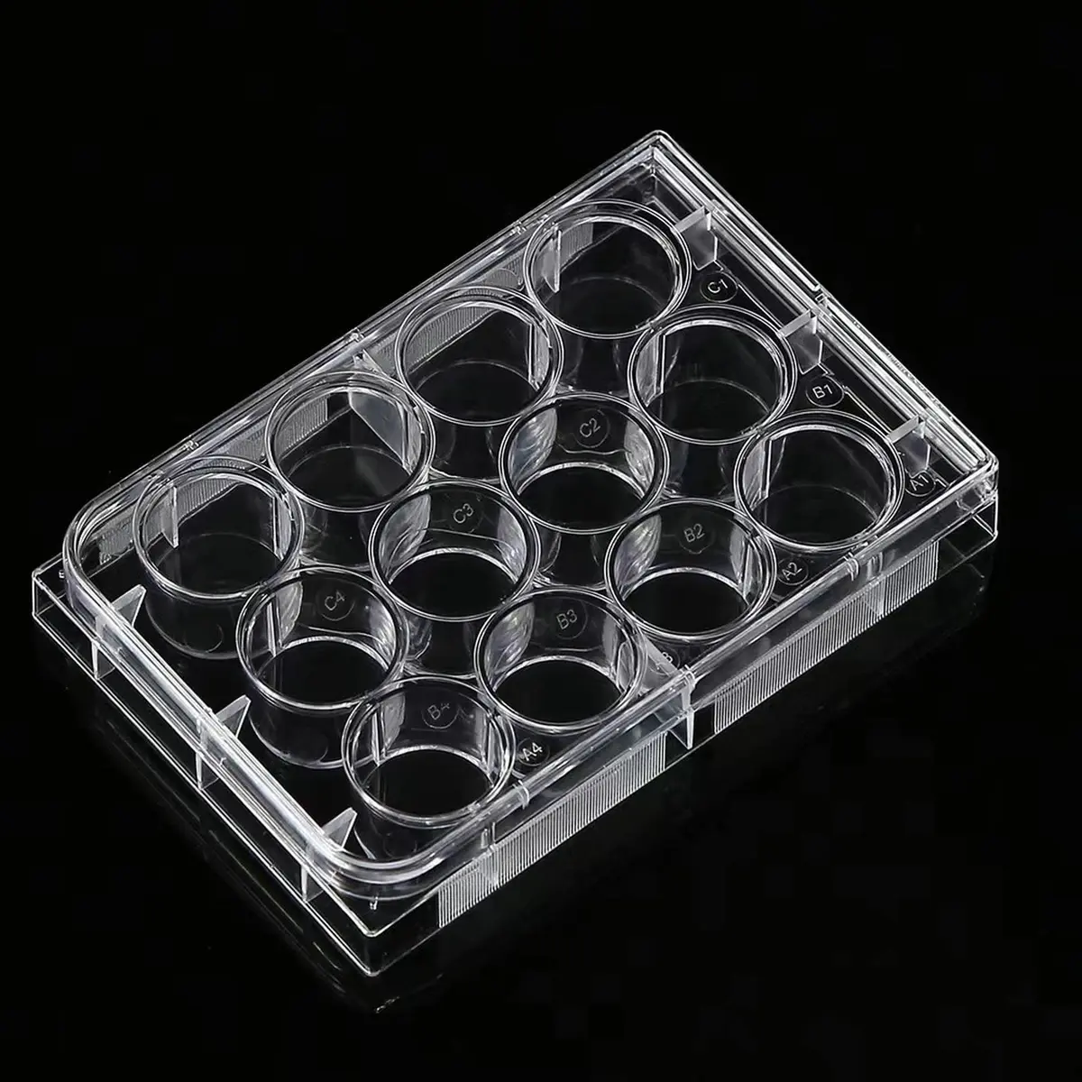 Lichen cottage 12-Well Tissue Culture Plate Individually Wrapped Flat Bottom Wells Pack of 10 | Sterile Polystyrene Labware - main product image