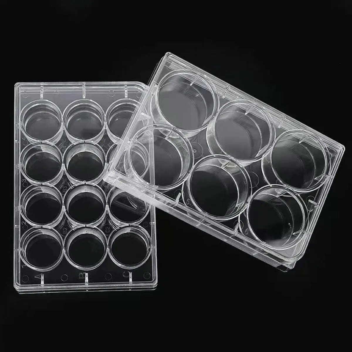 Lichen cottage 12-Well Tissue Culture Plate Individually Wrapped Flat Bottom Wells Pack of 10 | Sterile Polystyrene Labware - view 6