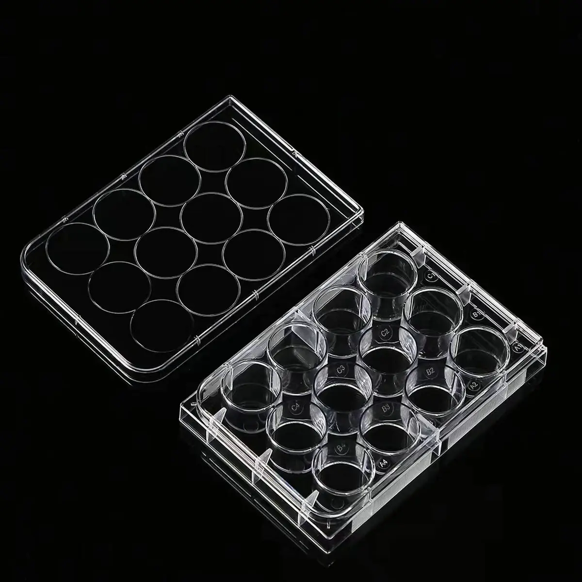 Lichen cottage 12-Well Tissue Culture Plate Individually Wrapped Flat Bottom Wells Pack of 10 | Sterile Polystyrene Labware - view 2