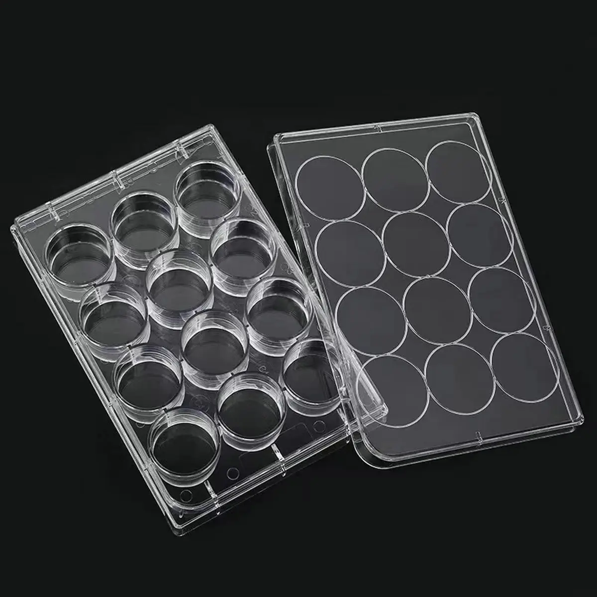 Lichen cottage 12-Well Tissue Culture Plate Individually Wrapped Flat Bottom Wells Pack of 10 | Sterile Polystyrene Labware - view 4