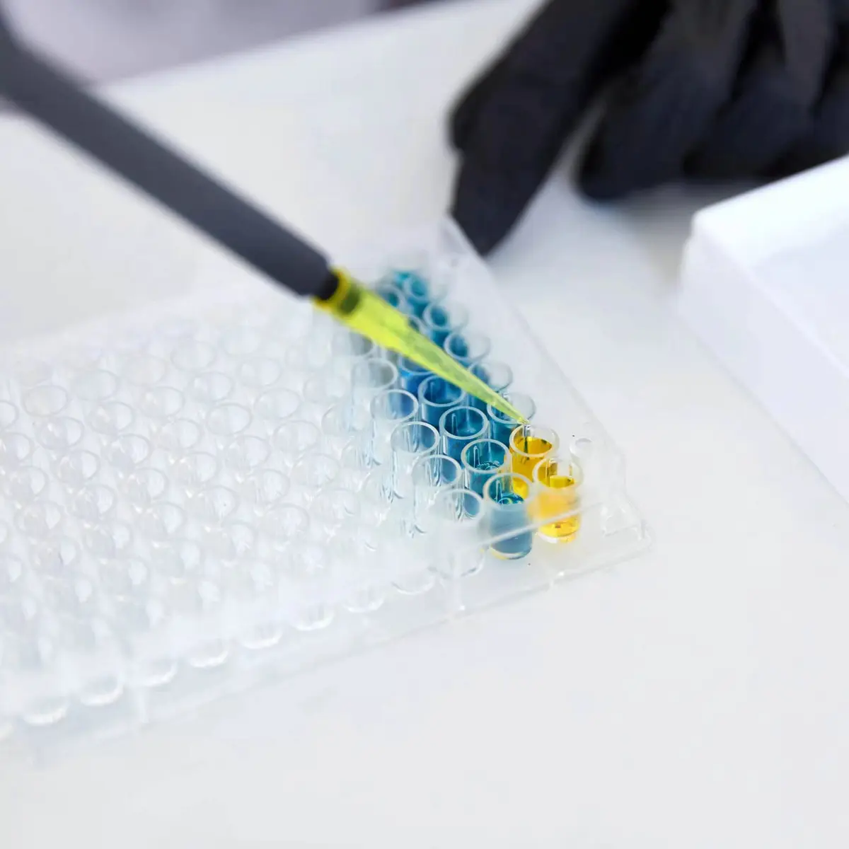Lichen cottage 96-Well Tissue Culture Plate 10-Pack | Sterile, Individually Wrapped, Flat Bottom Wells - view 3