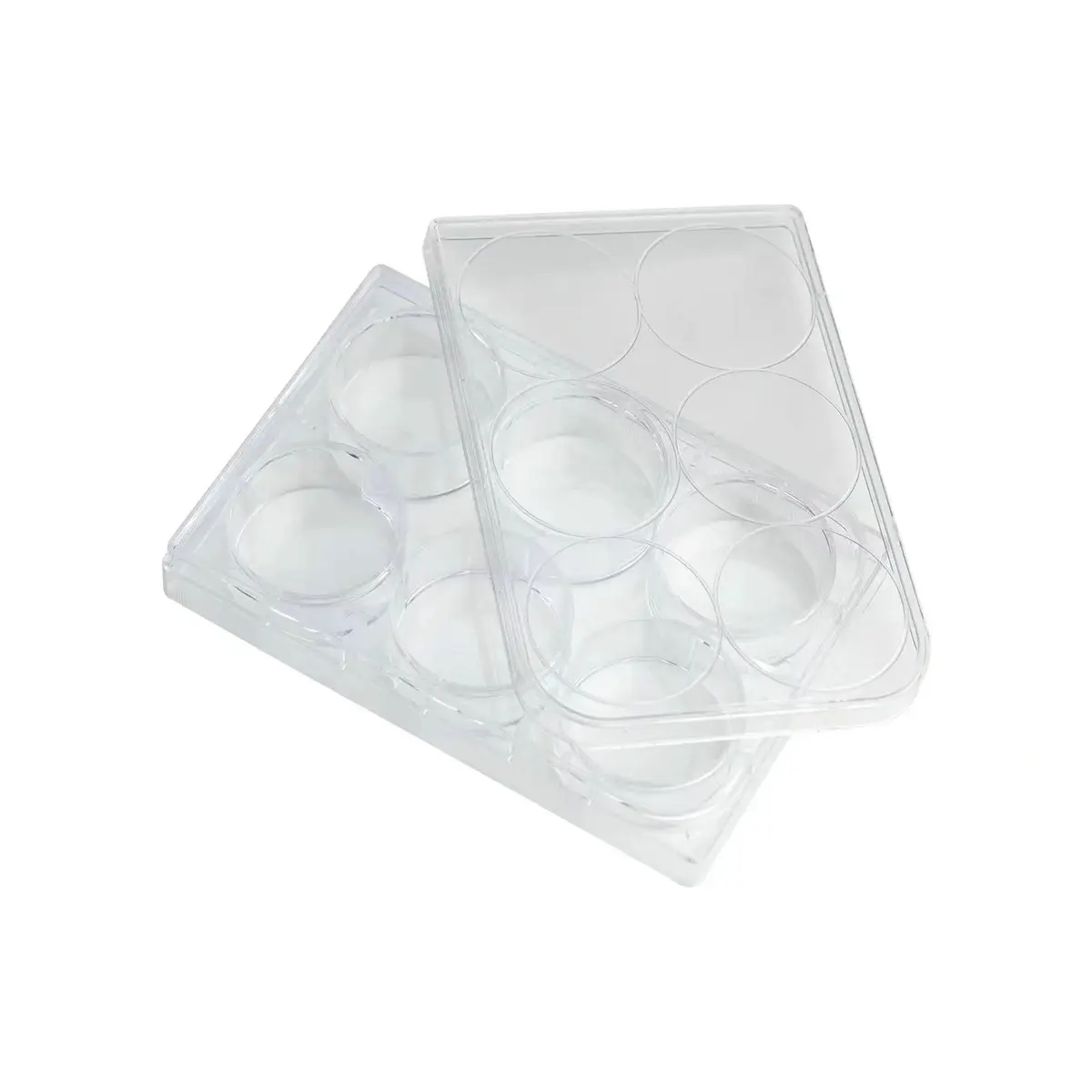 Lichen cottage 6-Well Tissue Culture Plate 15.9ml (Pack of 10) | Sterile, Individually Wrapped, Flat Bottom Wells - main product image