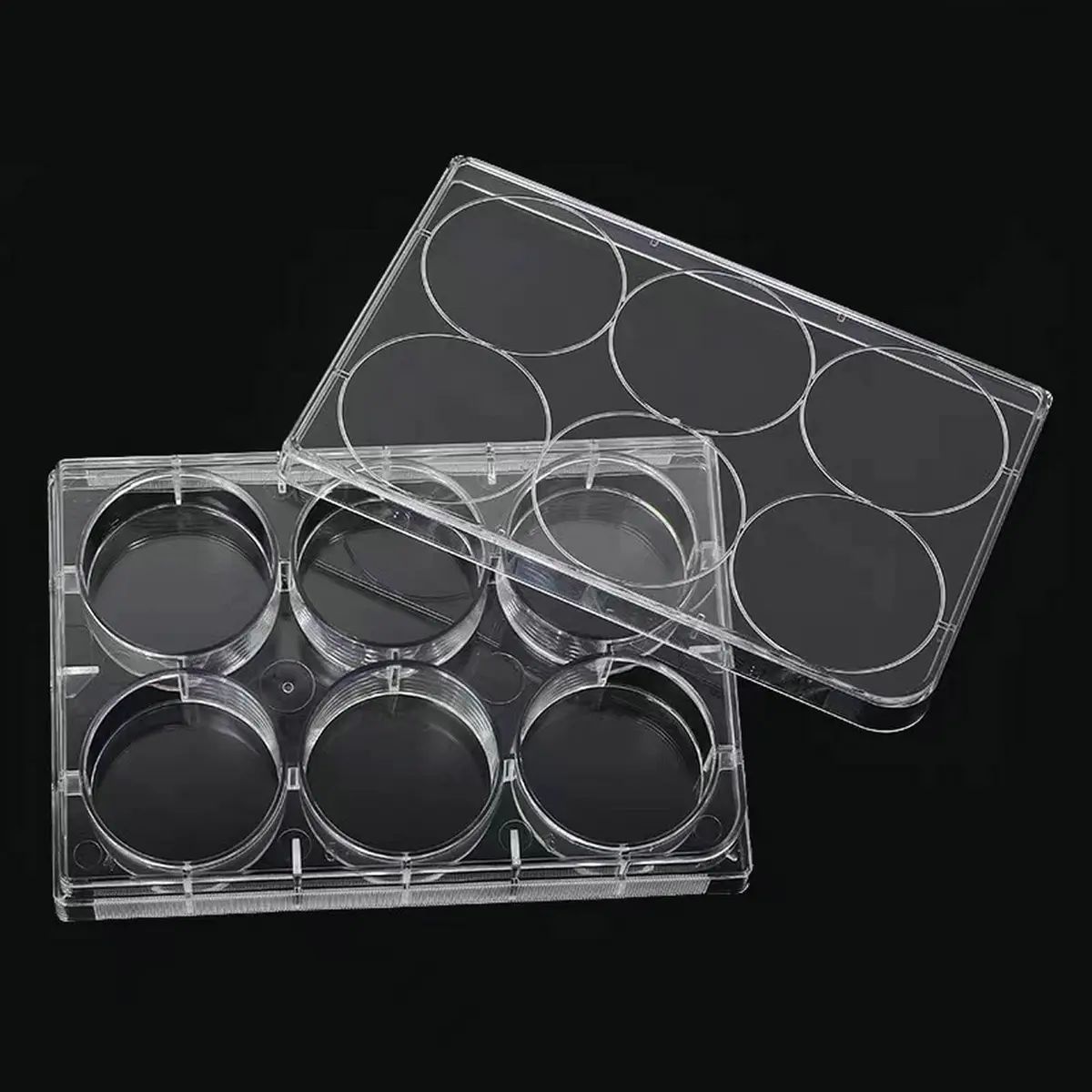Lichen cottage 6-Well Tissue Culture Plate 15.9ml (Pack of 10) | Sterile, Individually Wrapped, Flat Bottom Wells - view 5