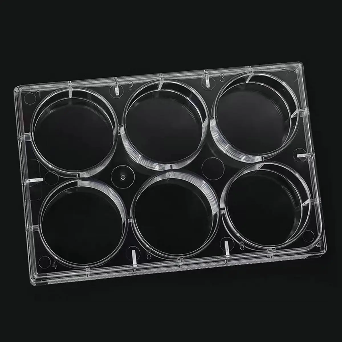 Lichen cottage 6-Well Tissue Culture Plate 15.9ml (Pack of 10) | Sterile, Individually Wrapped, Flat Bottom Wells - view 6