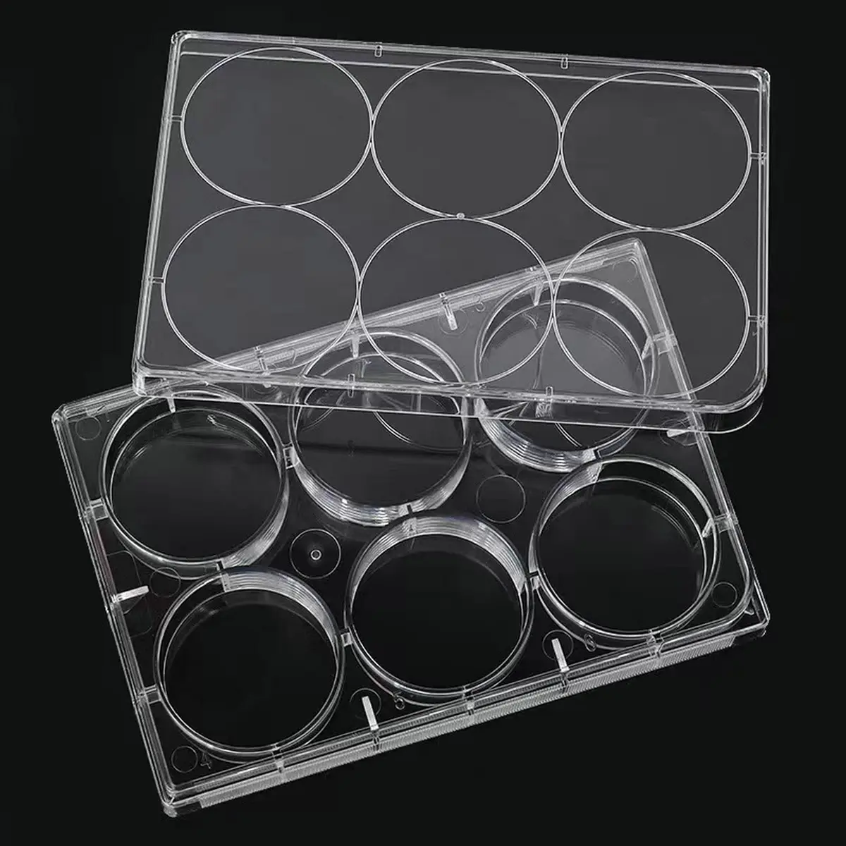 Lichen cottage 6-Well Tissue Culture Plate 15.9ml (Pack of 10) | Sterile, Individually Wrapped, Flat Bottom Wells - view 2