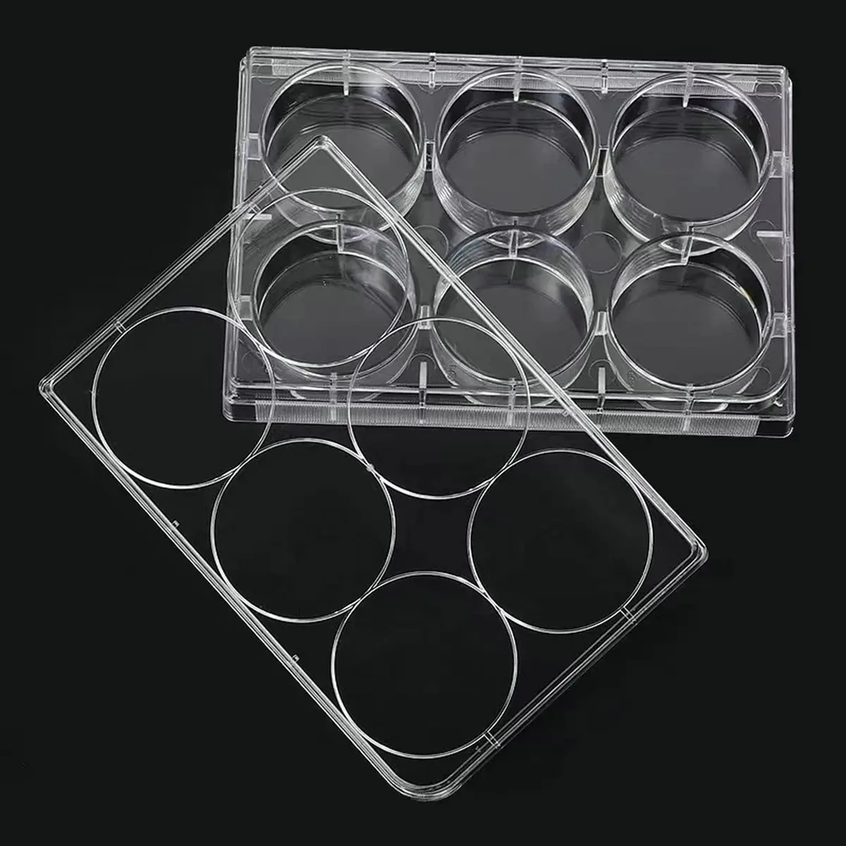 Lichen cottage 6-Well Tissue Culture Plate 15.9ml (Pack of 10) | Sterile, Individually Wrapped, Flat Bottom Wells - view 3