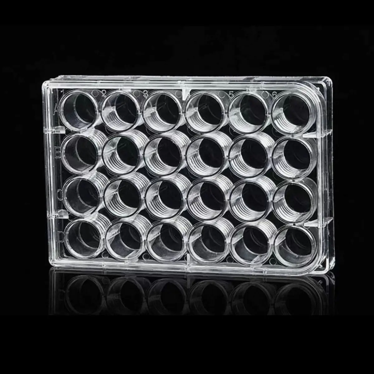 Lichen cottage 24-Well Tissue Culture Plate 3.4ml/well (Pack of 10) | Gamma Irradiated Labware for Cell Culture - main product image