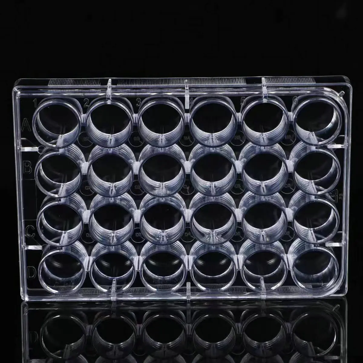 Lichen cottage 24-Well Tissue Culture Plate 3.4ml/well (Pack of 10) | Gamma Irradiated Labware for Cell Culture - view 5