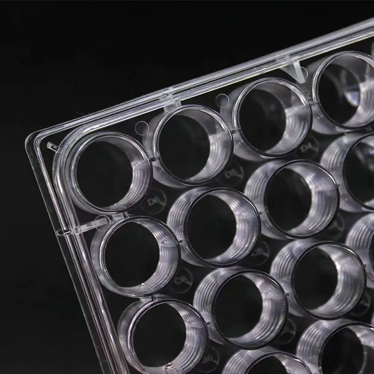 Lichen cottage 24-Well Tissue Culture Plate 3.4ml/well (Pack of 10) | Gamma Irradiated Labware for Cell Culture - view 6