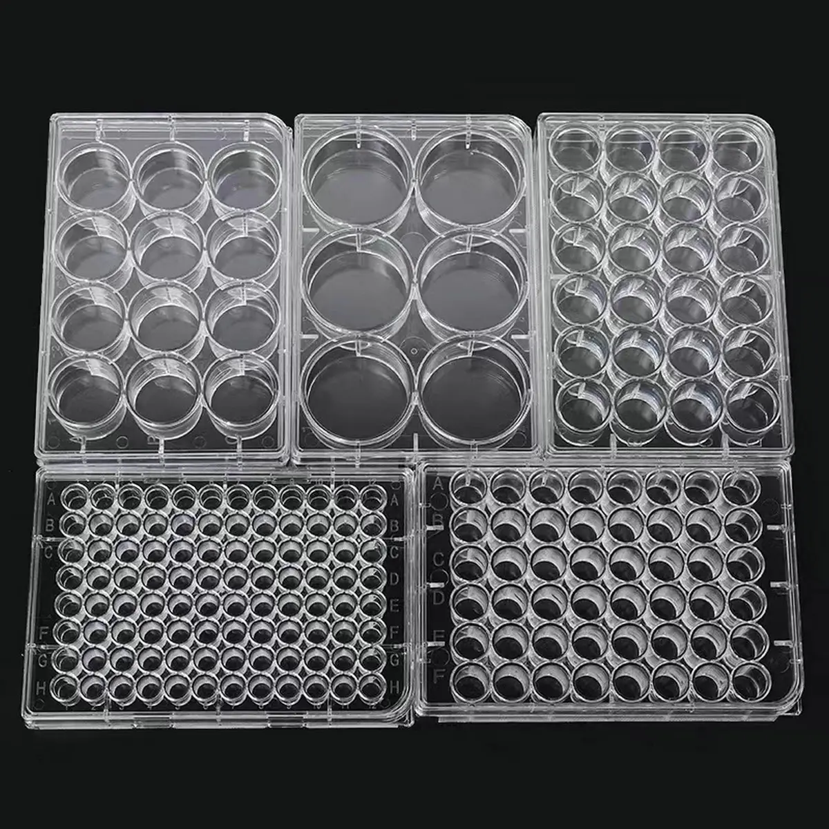 Lichen cottage 24-Well Tissue Culture Plate 3.4ml/well (Pack of 10) | Gamma Irradiated Labware for Cell Culture - view 7