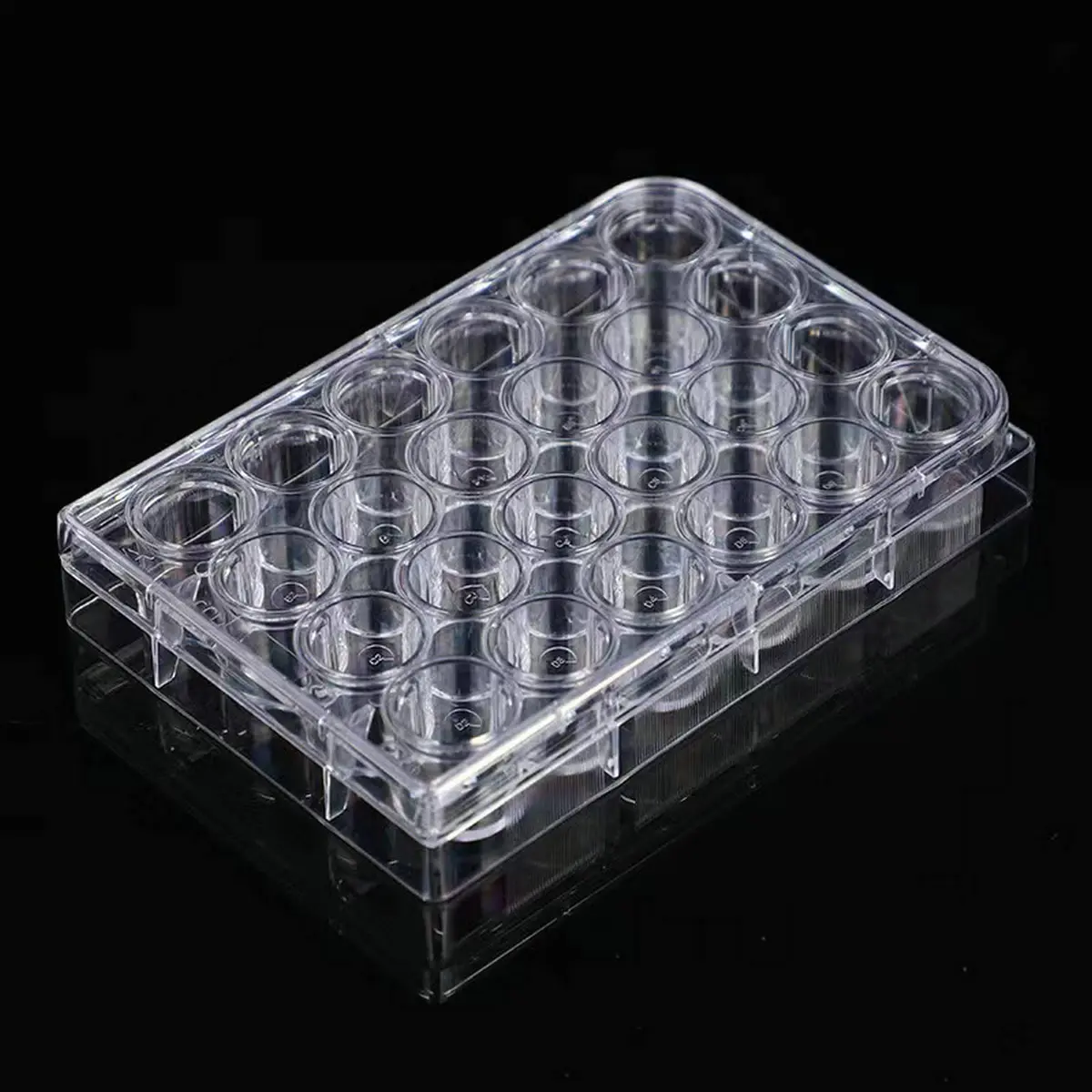 Lichen cottage 24-Well Tissue Culture Plate 3.4ml/well (Pack of 10) | Gamma Irradiated Labware for Cell Culture - view 3