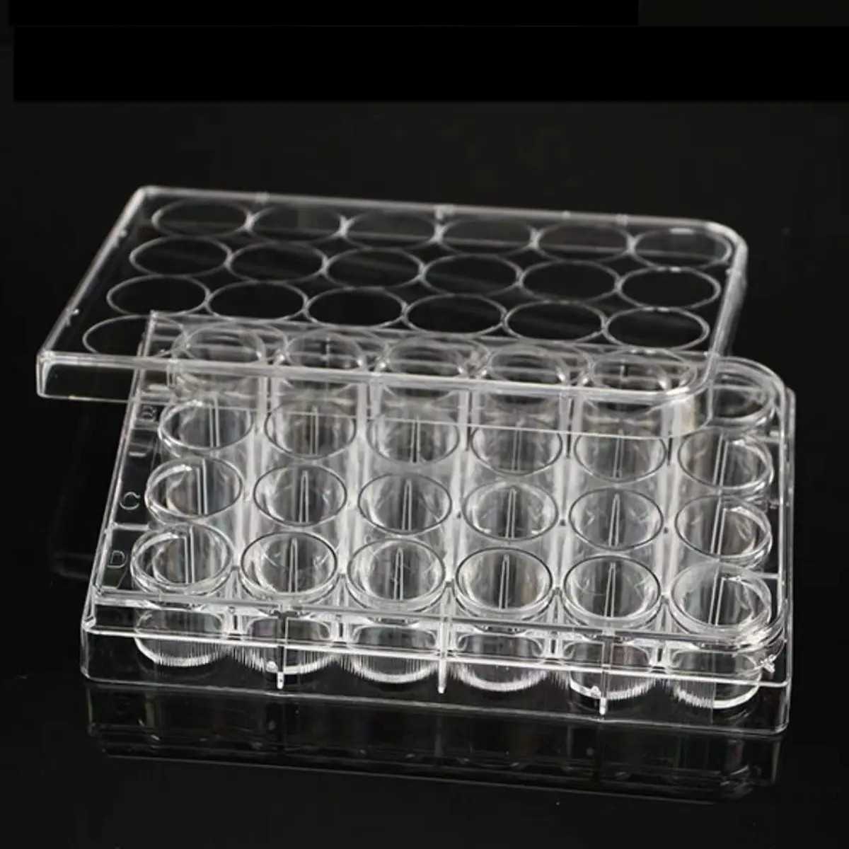 Lichen cottage 24-Well Tissue Culture Plate 3.4ml/well (Pack of 10) | Gamma Irradiated Labware for Cell Culture - view 4