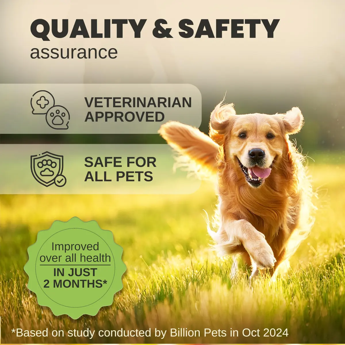 Billion Pets Hemp Oil for Dogs & Cats 2 Fl Oz | Calming, Pain & Arthritis Support - view 8