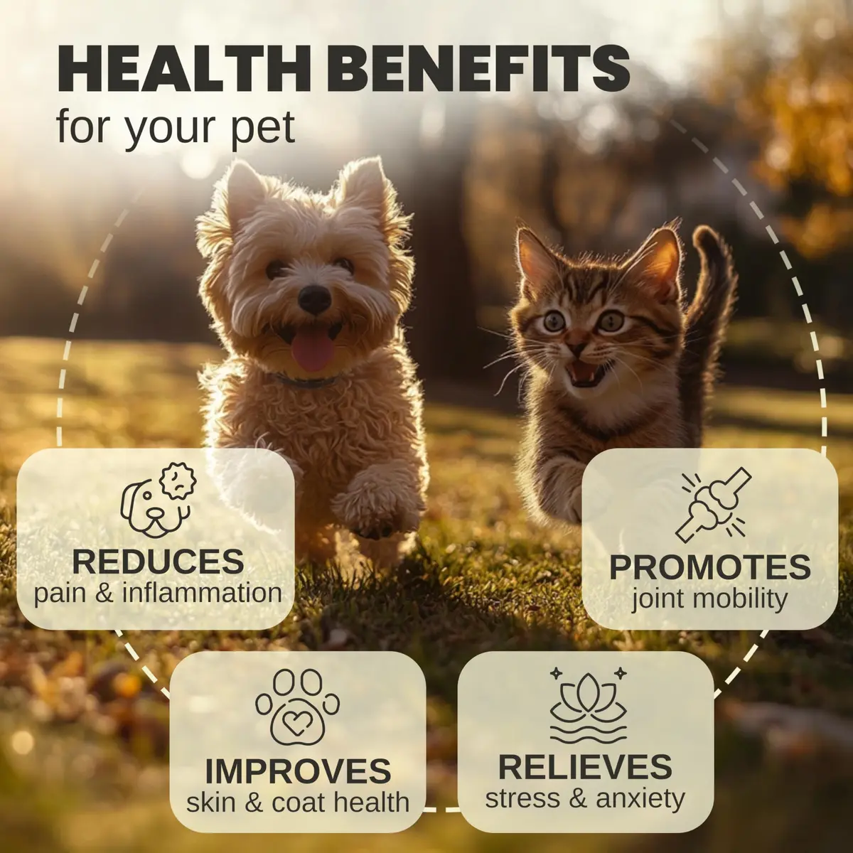 Billion Pets Hemp Oil for Dogs & Cats 2 Fl Oz | Calming, Pain & Arthritis Support - view 2