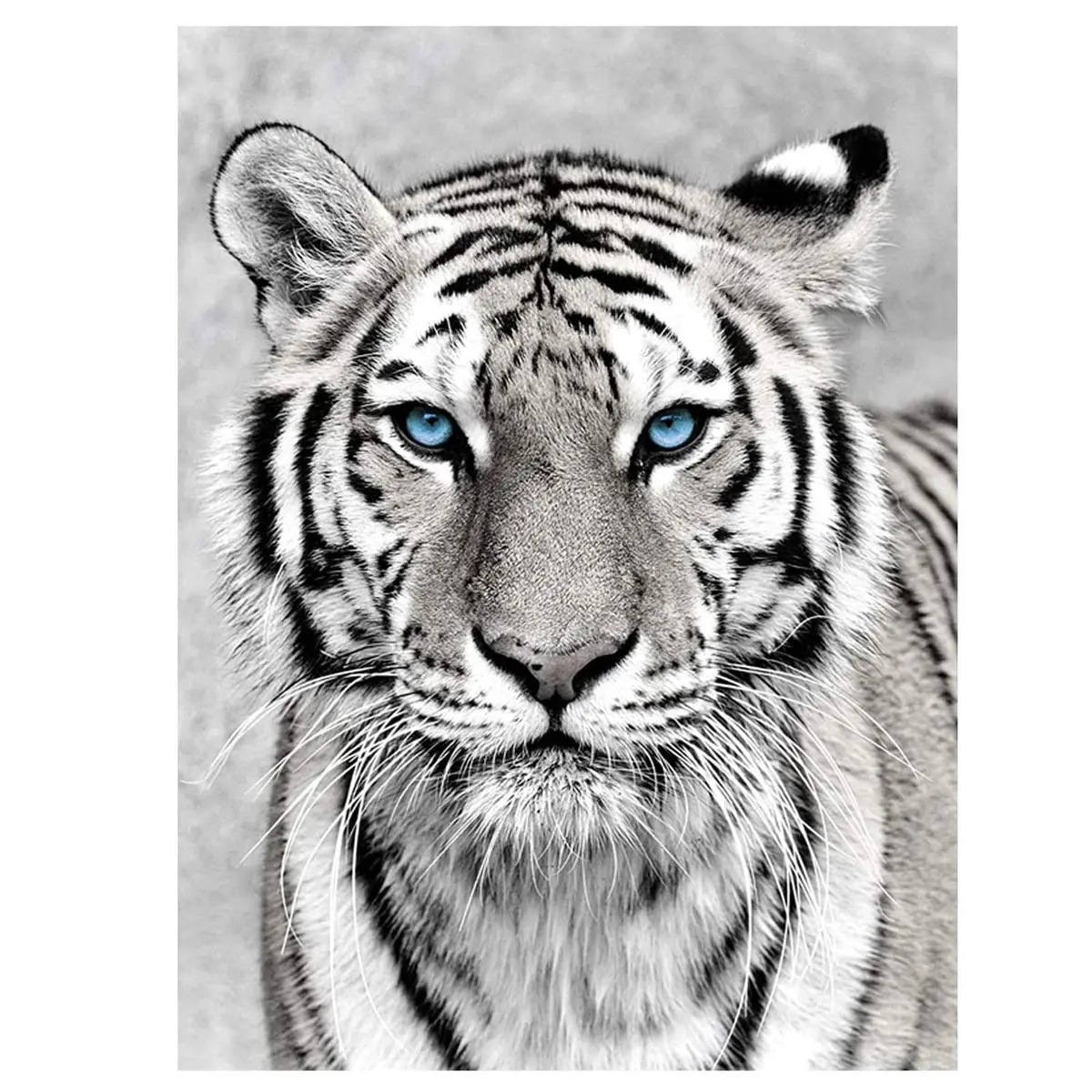 NAIMOER Tiger Diamond Art Kits for Adults, 5D Full Drill Animals Diamond Painting 30x40cm | Realistic Tiger Art for Home Wall Decoration - main product image