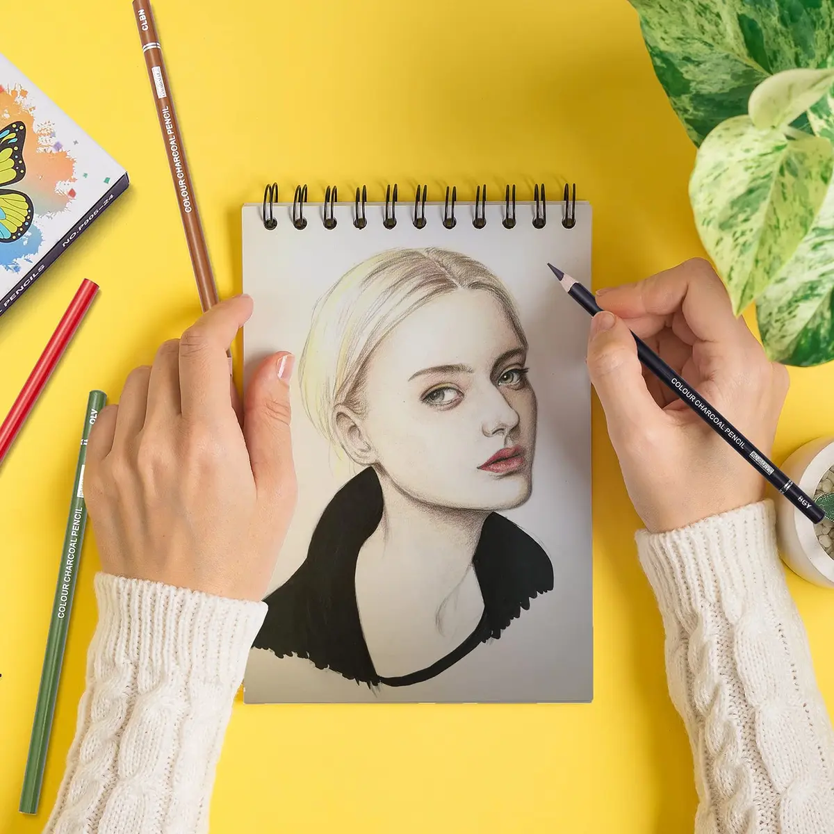 PANDAFLY Professional Colored Charcoal Pencils Drawing Set, 24 Colors | Non-Toxic, Skin Tone Shades - view 6