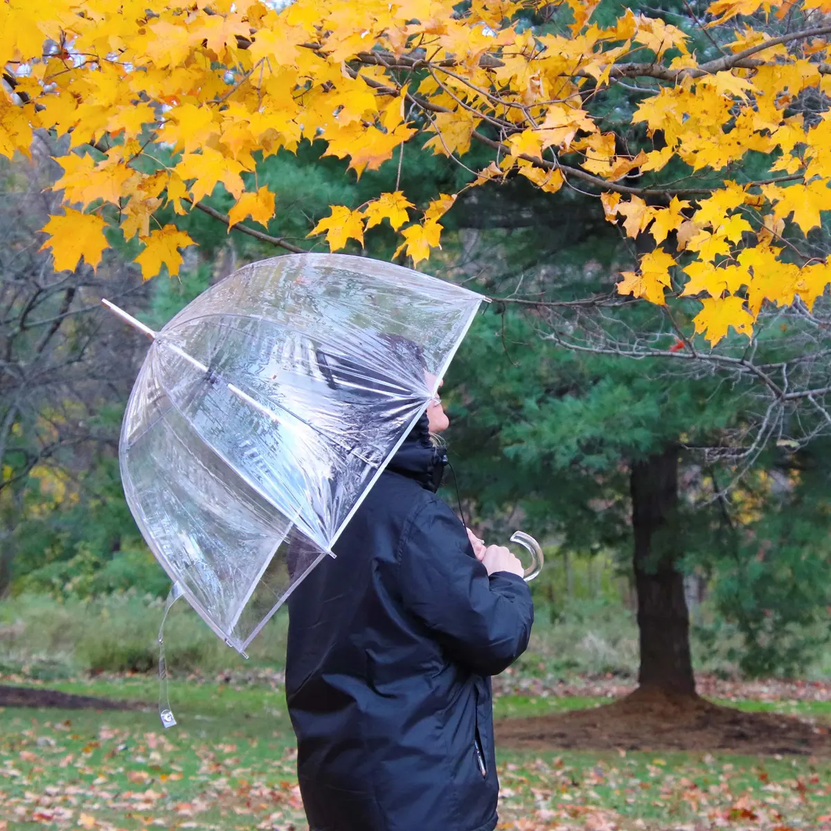 totes Clear Canopy Bubble Umbrella with J Hook Handle and Auto Open, 130 cm (51 inches) Arc | Windproof and Water-Repellent - view 7