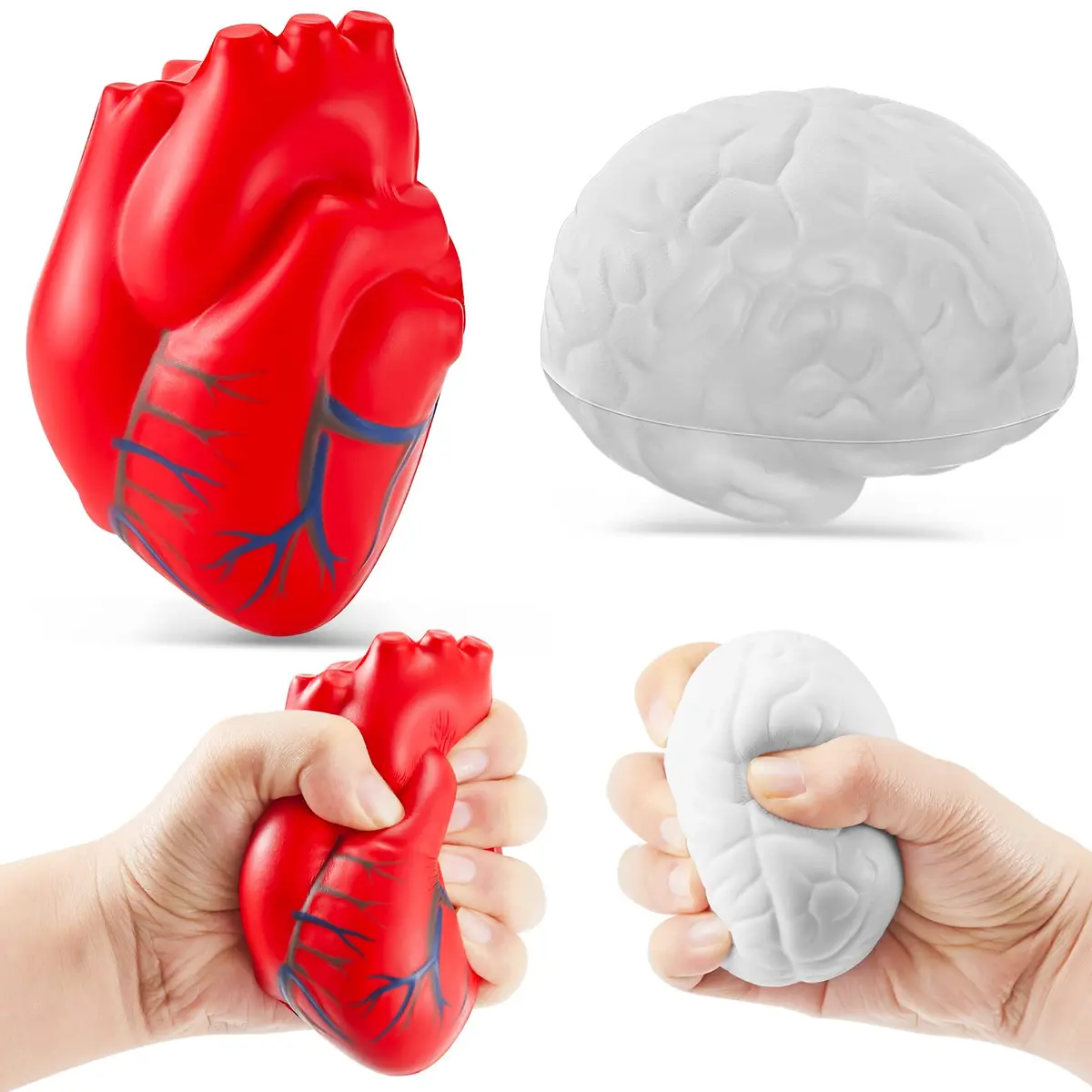 Hungdao Anatomy Heart Brain Stress Toy Set, Foam Squeeze Balls 10.9cm (4.33in) | Educational Anxiety Relief Toy - main product image