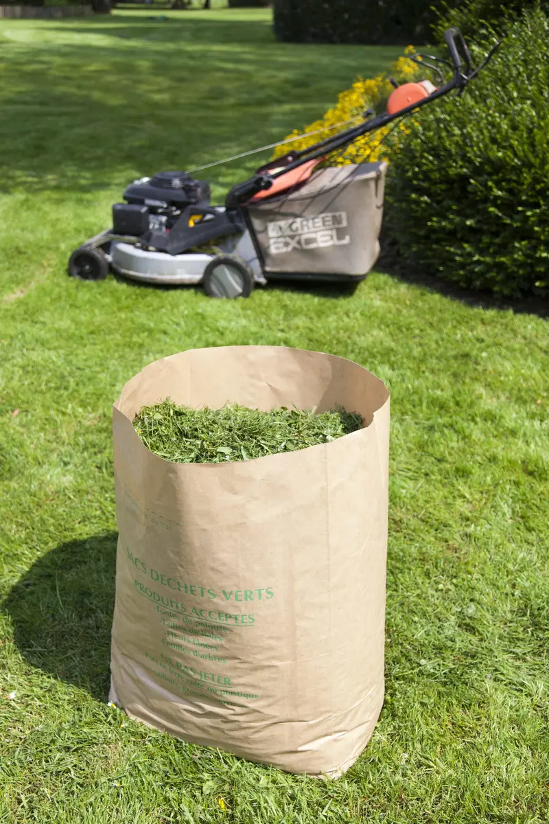 La cordeline Waste Bag 125L Pack of 10 | Water-Resistant Kraft Paper Yard Waste Bags - view 3
