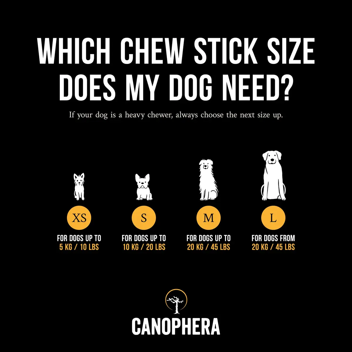 Canophera Coffee Wood Dog Chew Sticks for Regular Chewers - Size XS | Natural Stress Relief & Dental Care - view 3